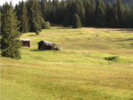 Meikirch